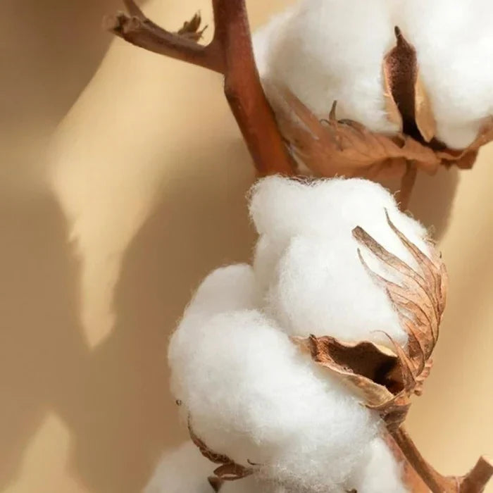 Embroidered Cotton Satin Bedding Set - Luxora