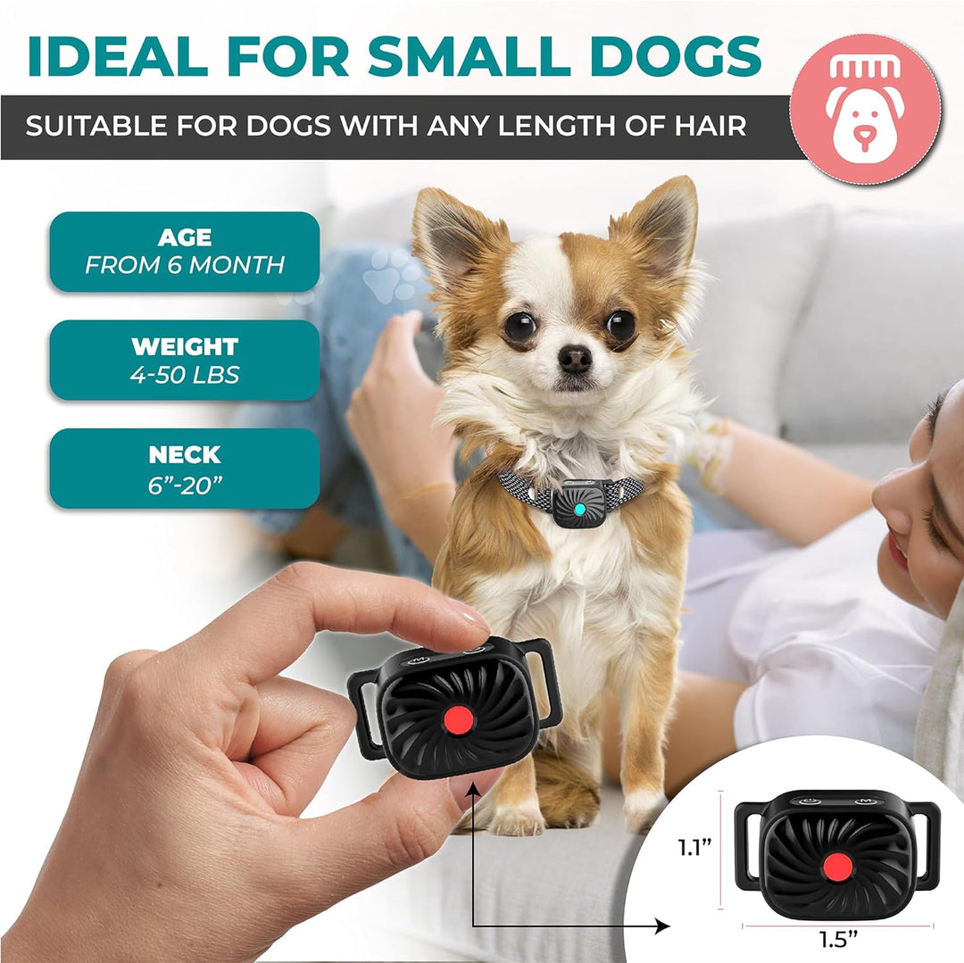 BelloSilent Anti-Bark Collar for Small Dogs | With Sound and Vibration | IP87 Waterproof | Adjustable and Gentle Training