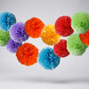 Multicolor Tissue Pom-Pom Party Set
