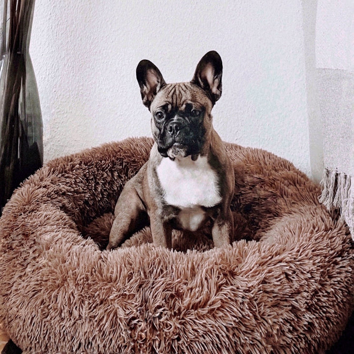 Fluffy Plus Dog Bed – The Original