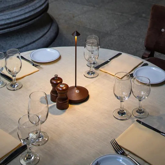 Cordless LED Table Lamp - ModernLumin
