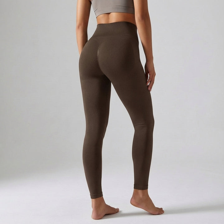 Compression Leggings With Sculpting - Janet