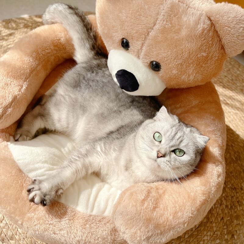 Adjustable Cuddle Bear – SnuggleBear