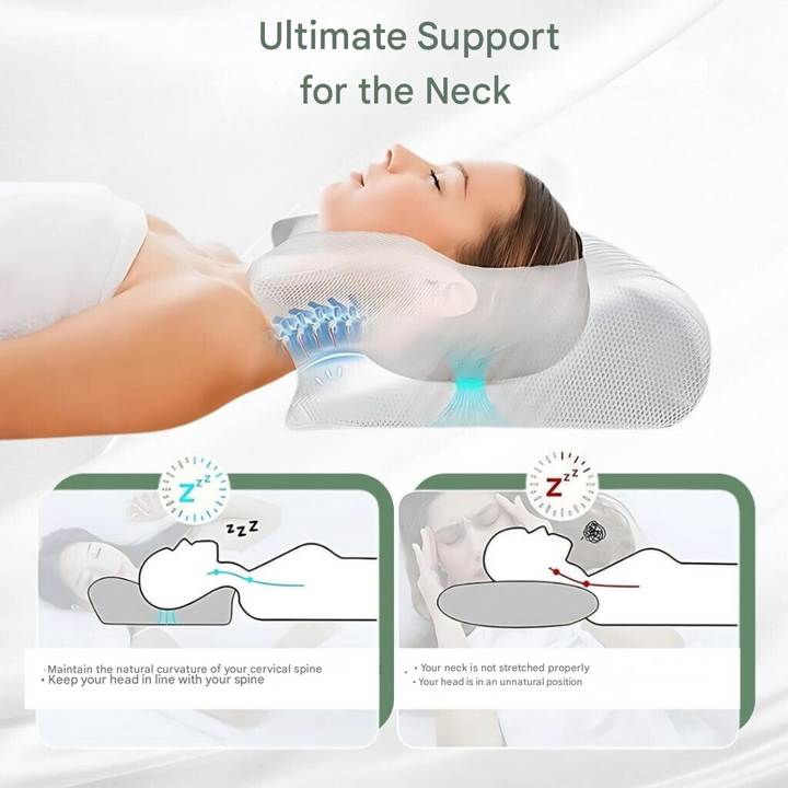 Contoured Orthopedic Pillow for Back Sleepers