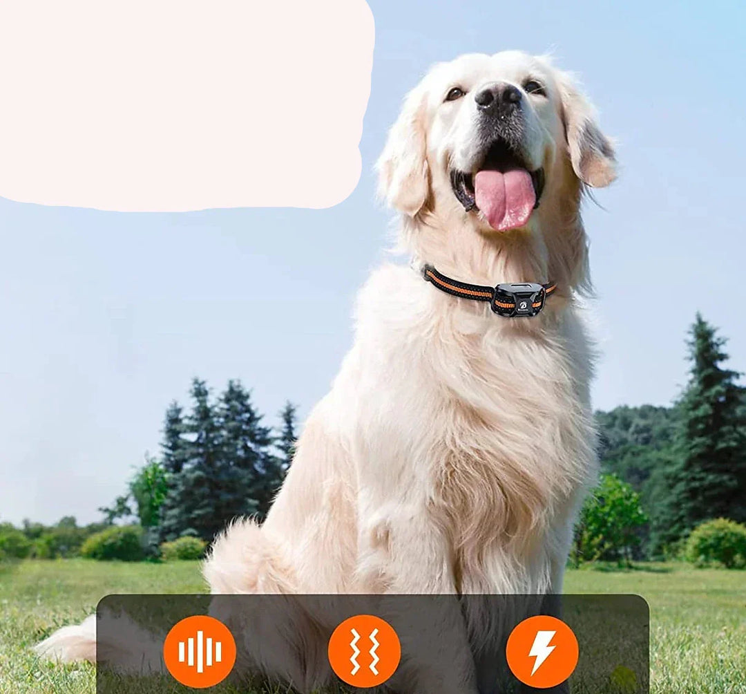Premium 1000m Dog Training Collar With Remote Control - Waterproof, Rechargeable E-Collar for All Dog Sizes