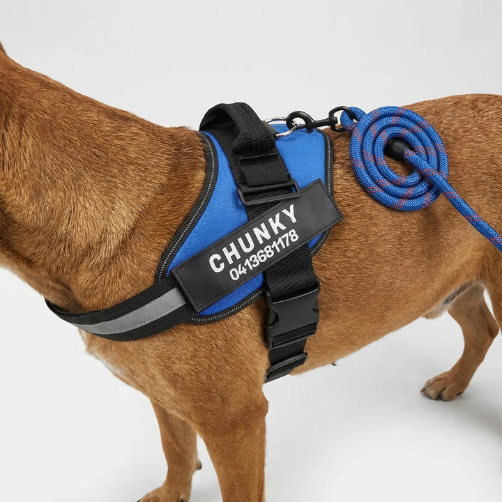Pawsonix - Personalized Front-Attachment No-Pull Harness