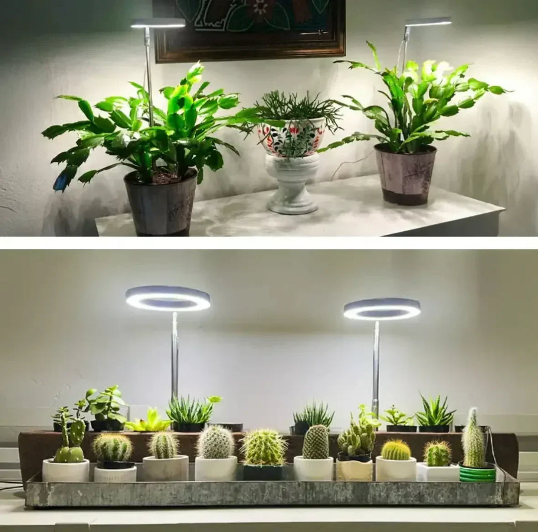 Full-Spectrum LED Grow Light with Timer and Dimmer