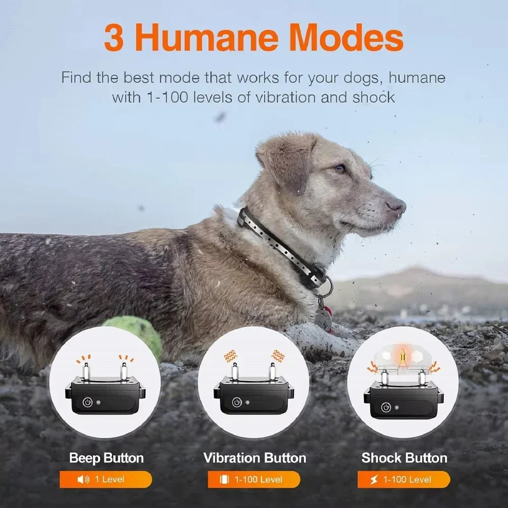 Rechargeable Electric Dog Training Collar with Remote and 1000 m Range – PetControl
