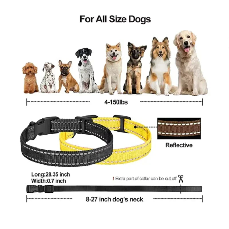 Rechargeable Electric Dog Training Collar with Remote and 1000 m Range – PetControl