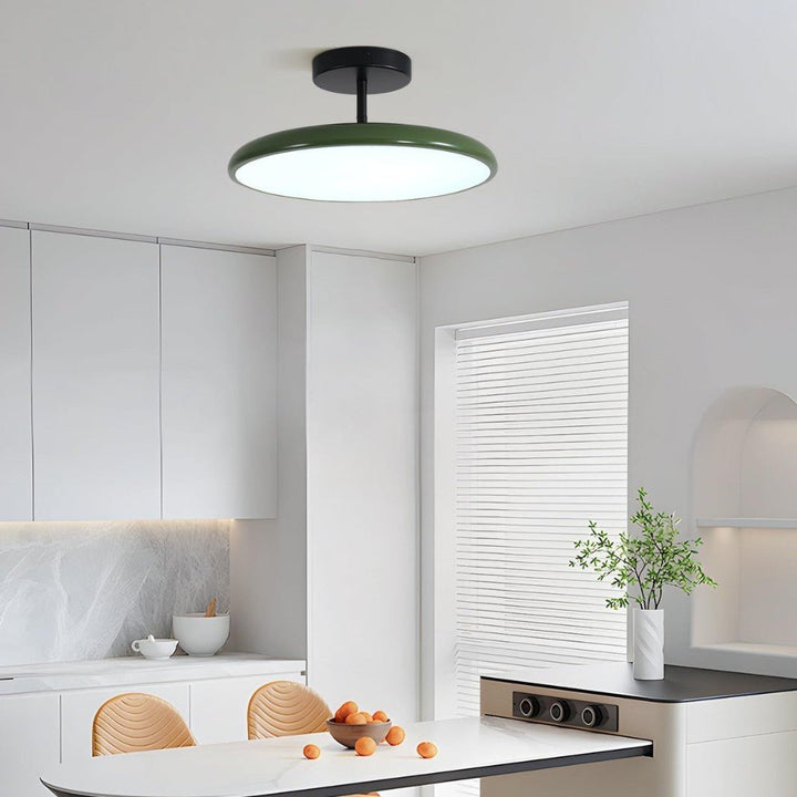 Modern Adjustable LED Ceiling Lamp