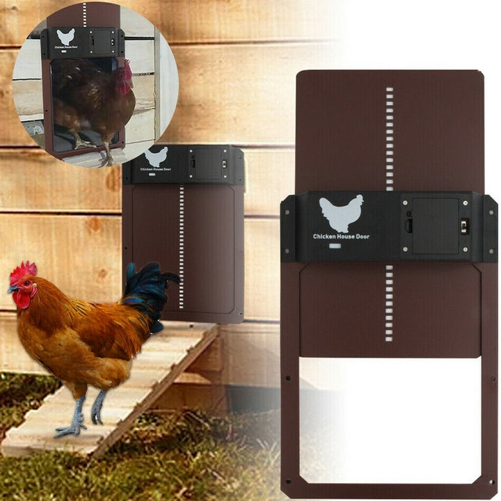 Automatic Chicken Coop Door System – SafeCoop