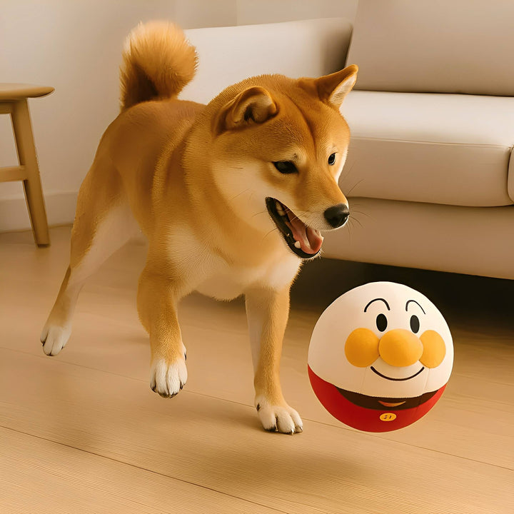 Interactive Dog Toy - Bouncing Play Ball, Helps Prevent Destructive Behaviour