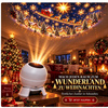 Christmas Projection Night Light for Walls and Ceilings – Festive Holiday Room Decor