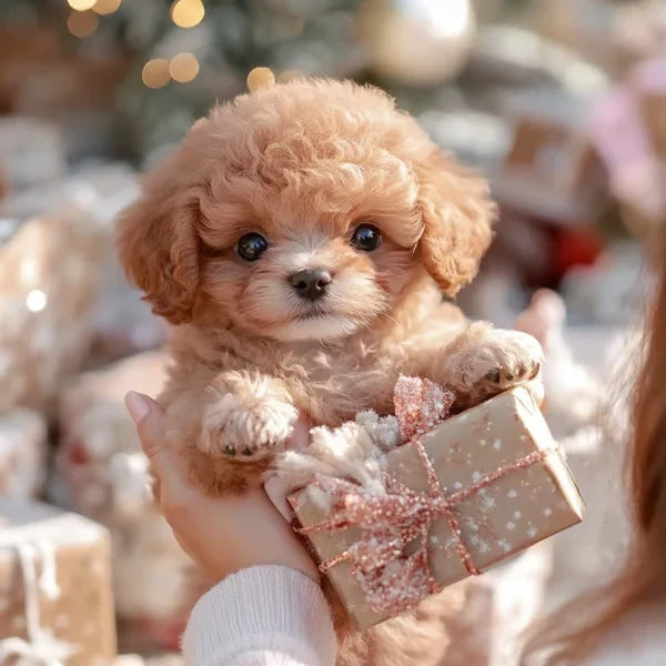 Lifelike Robotic Puppy Plush Companion That Walks, Barks and Sits