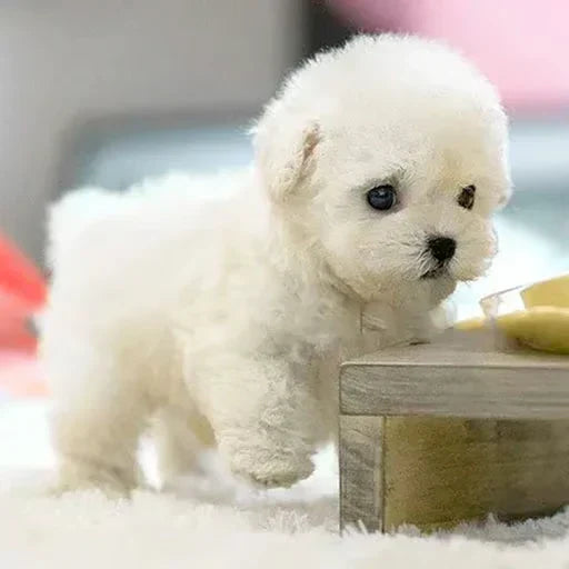 Lifelike Robotic Puppy Plush Companion That Walks, Barks and Sits