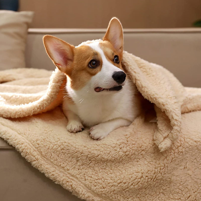 Soft Puppy Blankets - SnuggleFur Fleece