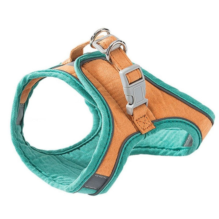 Cat Harness – Oscar