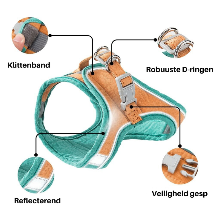Cat Harness – Oscar