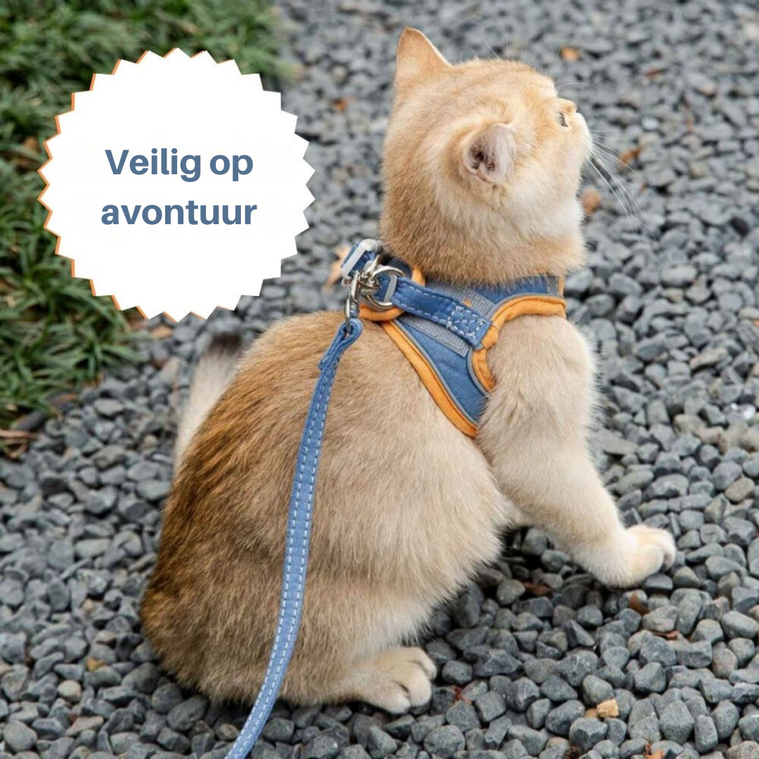 Cat Harness – Oscar