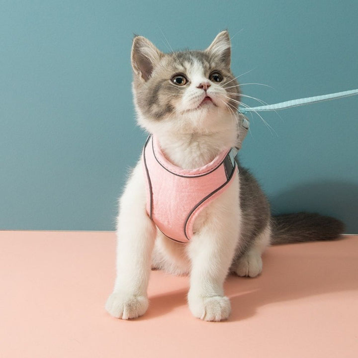 Cat Harness – Oscar