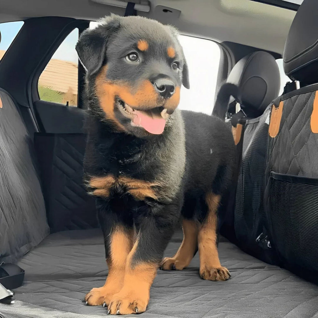 Waterproof Dog Car Seat Extender with Rigid Base and Memory Foam Bed