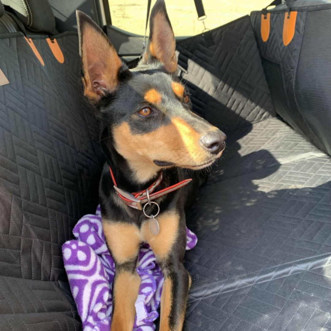 Waterproof Dog Car Seat Extender with Rigid Base and Memory Foam Bed